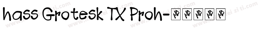 hass Grotesk TX Proh字体转换